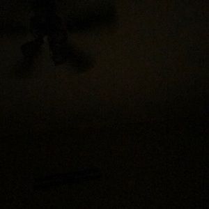 Meet your Posher, Ashely